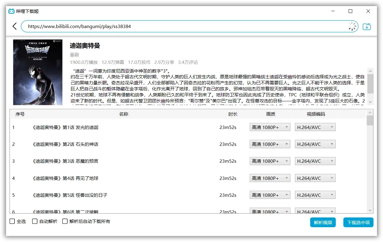 DownKyi v1.5.6 Bilibili视频下载工具 便携版第3张