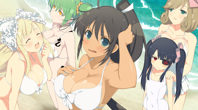 闪乱神乐-沙滩戏水SENRAN.KAGURA V1.08 STEAM官方中文版+全DLC魔改-5