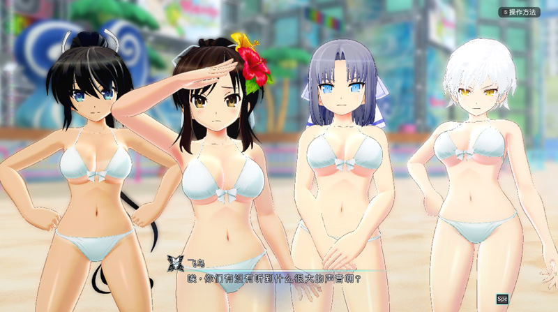 闪乱神乐-沙滩戏水SENRAN.KAGURA V1.08 STEAM官方中文版+全DLC魔改-6