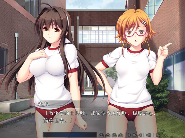[ADV游戏]圣天之泪惨遭背刺的天使 精翻汉化版+画廊全开-3